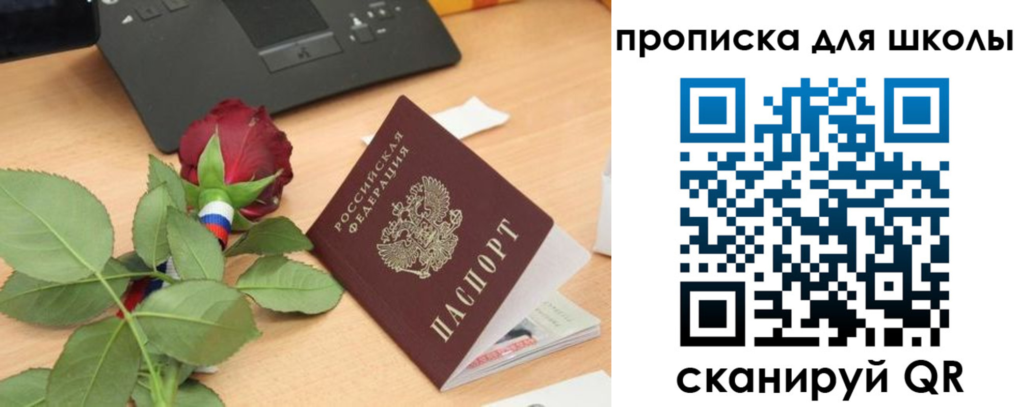прописка паспорт в Смоленской области